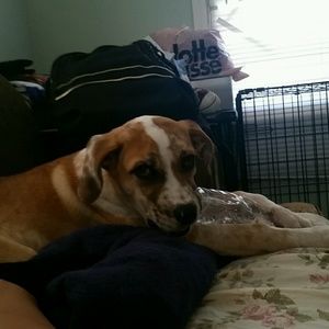 Meet your Posher, Rubi